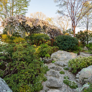 Asian Garden Pruning and Planting
