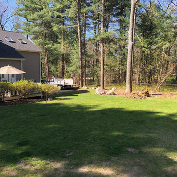 Backyard Renovation