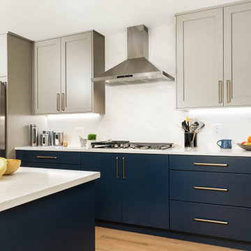 Groutless Kitchen Remodel in Glenview