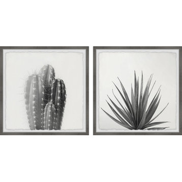 Black and White Cacti Diptych, 24"x12"