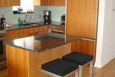 Minimalist kitchen photo in New York