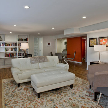 Basement Accessory Apartment