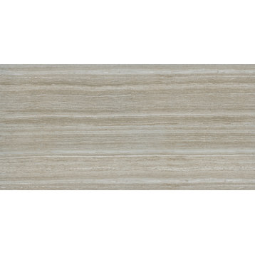 MSI NCHA1224 Charisma - 12" x 24" Rectangle Floor Tile - Matte - Silver