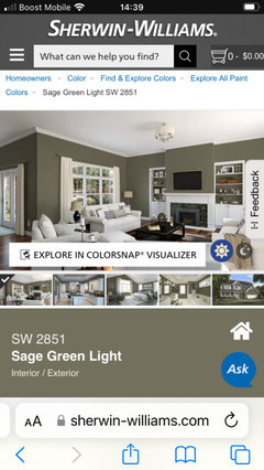 Undecided on wall color