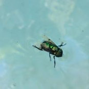 Xane Vazquez's photo