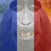 Julien Gardès's photo