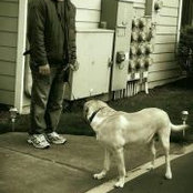 Anthony Shelley's photo