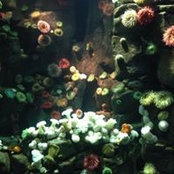 Carolyne Doyon's photo