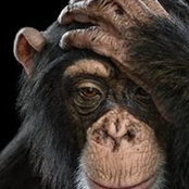 Mijail Brambilla's photo