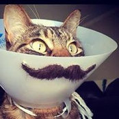 Jacquelyn Davinroy's photo