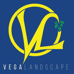 Vega Landscape