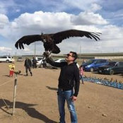 Aldar Darmaev's photo
