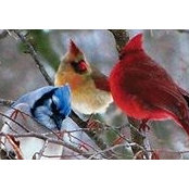 Linda Johnson-Revie's photo