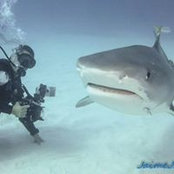 Pedro Buzo's photo