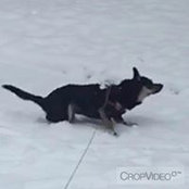 Chiqui Abello's photo