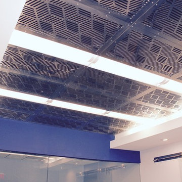 Custom designed Ceiling panels