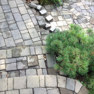 Paver Patio & Drainage Correction - (BEFORE PIC.)