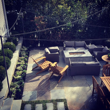 Patio Greenery