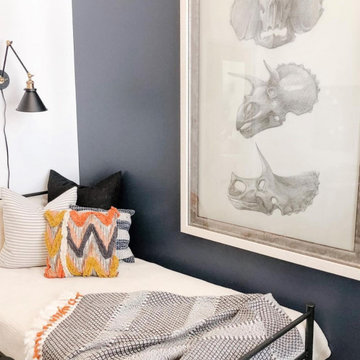 Boys Bedroom with a Dinosaur theme