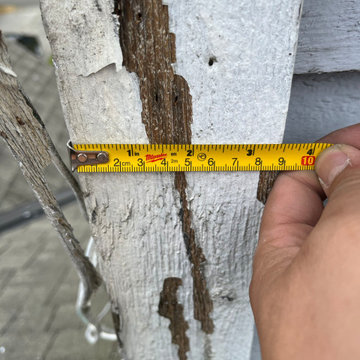 exterior painting