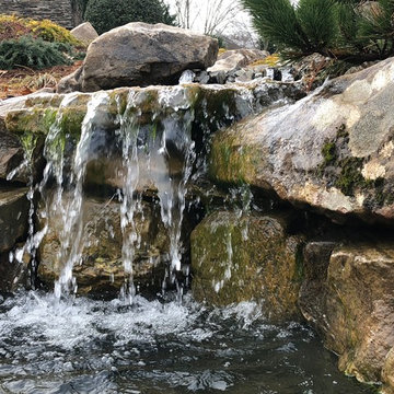 Contemporary Asian Fusion Garden