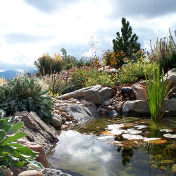 Water Features