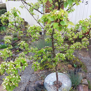 MicroScapeR(sm) Landscape MakeOver Projects
