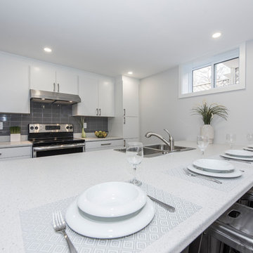Glenview Heights Basement Apartment Conversion and Whole House Renovation