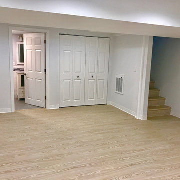 Bright And Light Finished Basement, Wayland, MA