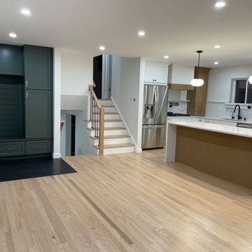 Mount Prospect Open Concept Kitchen