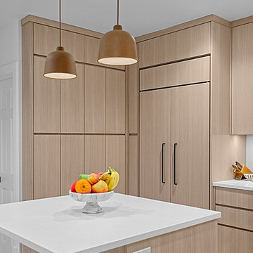 Ultra Modern Kitchen Design-Chicago