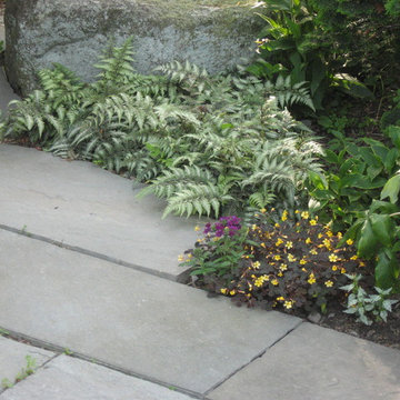 Martha's Garden