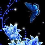 Glenda Shepherd's photo