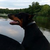 Lori Bjork's photo