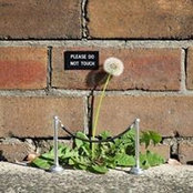 Elizabeth Faraci's photo
