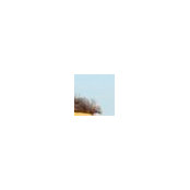 Ryan Hogan's photo