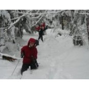 Marie-Laurence Lavoie's photo