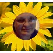 Nina Wendts foto