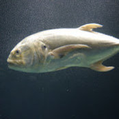 James Farner's photo