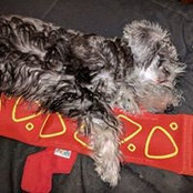 Barry Davis Jr's photo