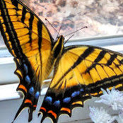 Carrie Yeager's photo