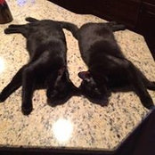 Gaila Dali's photo