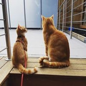 Amber Preston's photo