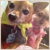 Lisa Esparza Ramirez's photo