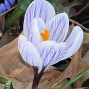 Ingrid Chavez's photo