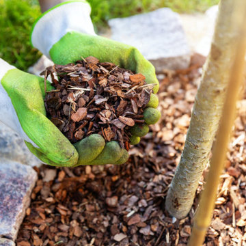 The Benefits Of Adding Woodchips Underneath Trees