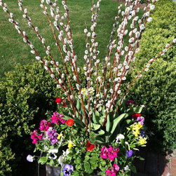 Spring Rotations - Plants
