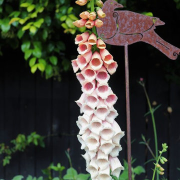 Cottage Rose Garden