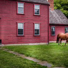 House colors