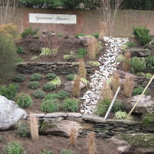 Landscape Ideas